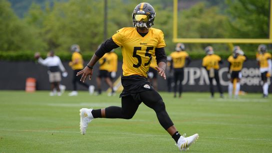 State of the Steelers: Pinning their hopes on Bush taken on the South Side (Steelers)